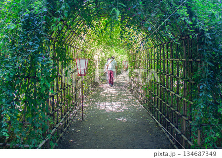 向島百花園 名物の萩のトンネル 静かな園路風景 134687349