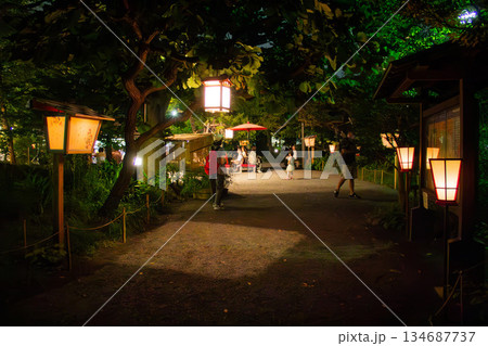 向島百花園の夜の園路を照らす行灯と人々が行き交う幻想的な庭園風景 向島百花園の夜の園路を照らす行灯と人々が行き交う幻想的な庭園風景 134687737