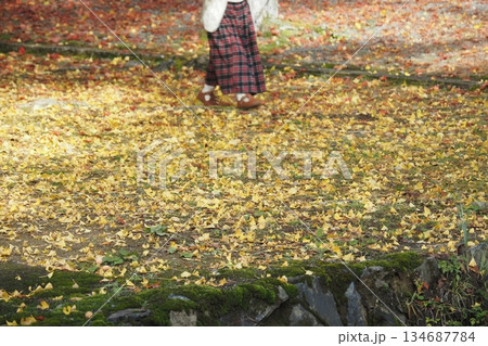 イチョウの落ち葉と走る女の子 イチョウの落ち葉と走る女の子 134687784