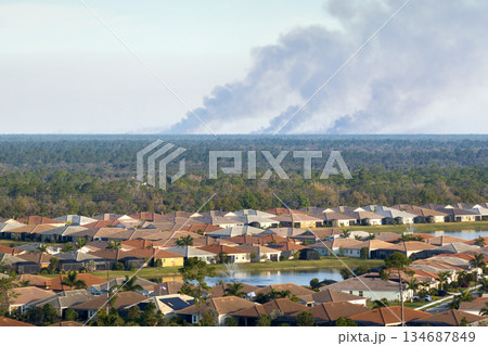 Prescribed fire smoke rising up over suburban neighborhood in Florida Prescribed fire smoke rising up over suburban neighborhood in Florida 134687849