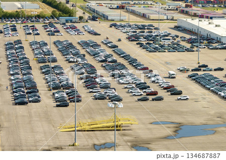 New cars for distribution at factory parking lot New cars for distribution at factory parking lot 134687887