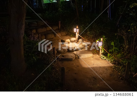 向島百花園の夜に照らされる石段と静かな庭園の小道 向島百花園の夜に照らされる石段と静かな庭園の小道 134688061