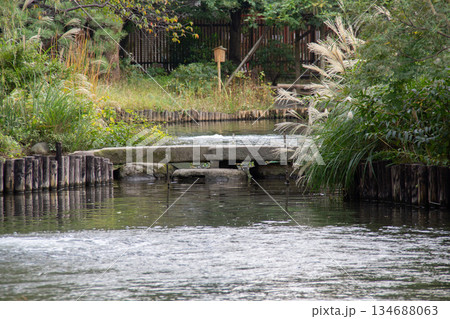 向島百花園の池に架かる石橋と水辺の静かな日本庭園風景 134688063