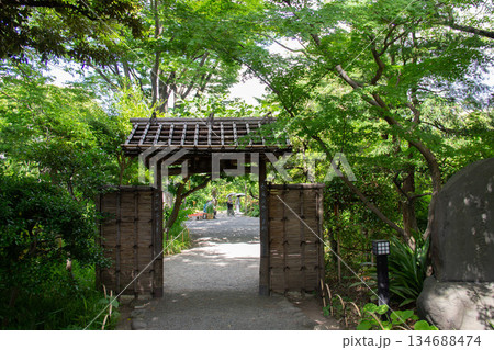 新緑に包まれた向島百花園の木戸門と夏の日本庭園風景 134688474