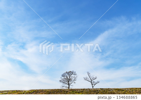 冬空と雲と草原 134688865