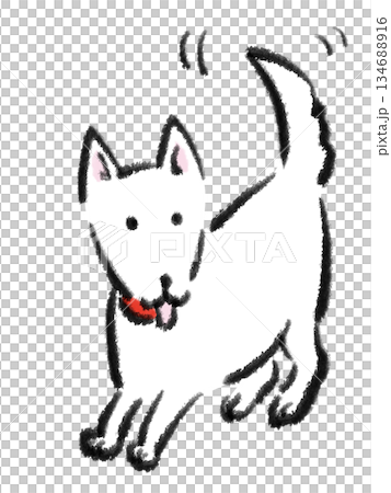 A happy white dog wagging its tail 134688916