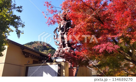 篠栗八十八ケ所 四十三番 明石寺 不動明王 篠栗八十八ケ所 四十三番 明石寺 不動明王 134689270