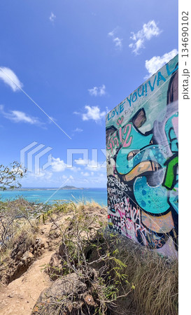ハワイ ラニカイビーチ 白い砂浜と透明な海 青空 ヤシの木 南国 風景 134690102