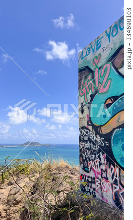 ハワイ ラニカイビーチ 白い砂浜と透明な海 青空 ヤシの木 南国 風景 134690103