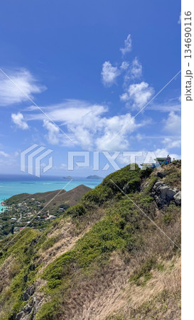 ハワイ ラニカイビーチ 白い砂浜と透明な海 青空 ヤシの木 南国 風景 134690116