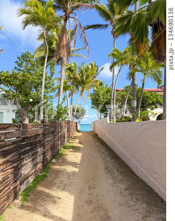 ハワイ ラニカイビーチ 白い砂浜と透明な海 青空 ヤシの木 南国 風景 ハワイ ラニカイビーチ 白い砂浜と透明な海 青空 ヤシの木 南国 風景 134690136