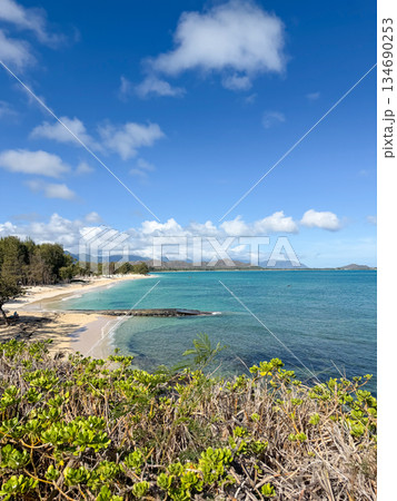 ハワイ ラニカイビーチ 白い砂浜と透明な海 青空 ヤシの木 南国 風景 ハワイ ラニカイビーチ 白い砂浜と透明な海 青空 ヤシの木 南国 風景 134690253