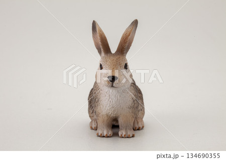 うさぎ うさぎ 134690355