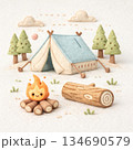 可愛いキャンプのイラスト 134690579
