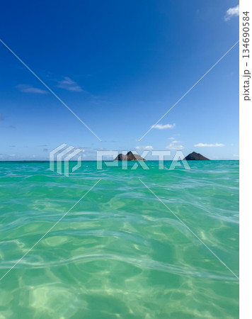 ハワイ ラニカイビーチ 白い砂浜と透明な海 青空 ヤシの木 南国 風景 ハワイ ラニカイビーチ 白い砂浜と透明な海 青空 ヤシの木 南国 風景 134690584