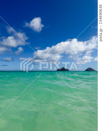 ハワイ ラニカイビーチ 白い砂浜と透明な海 青空  南国 風景 134690636