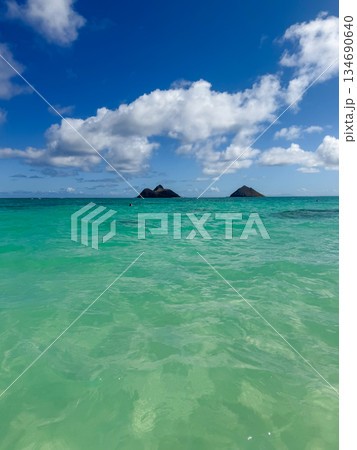 ハワイ ラニカイビーチ 白い砂浜と透明な海 青空 南国 風景 ハワイ ラニカイビーチ 白い砂浜と透明な海 青空 南国 風景 134690640