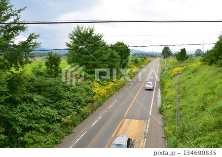 JR北海道根室本線、富良野駅から上芦別駅までの風景(2023年夏) JR北海道根室本線、富良野駅から上芦別駅までの風景(2023年夏) 134690835
