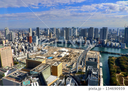 東京都市風景・ウォーターフロント（東京都） 134690939