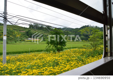 JR北海道根室本線、上芦別駅から平岸駅までの風景(2023年夏) JR北海道根室本線、上芦別駅から平岸駅までの風景(2023年夏) 134690950