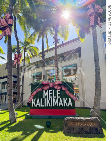 ハワイ クリスマス 装飾 南国 ホリデー 雰囲気 134691006