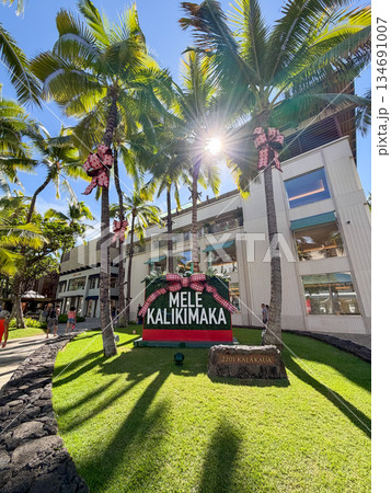 ハワイ クリスマス 装飾 南国 ホリデー 雰囲気 134691007