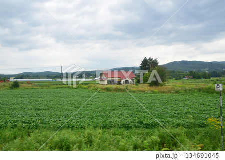 JR北海道根室本線、平岸駅から滝川駅までの風景(2023年夏) 134691045
