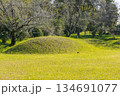 草に覆われた小さな古墳のある風景 134691077