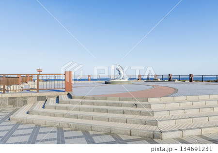 北海道稚内市　ノシャップ岬にある恵山泊漁港公園の風景 134691231
