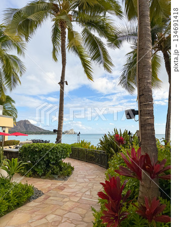 ハワイ　シェラトンワイキキ　海の見える場所 134691418