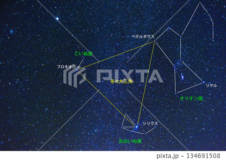 オリオン座　冬の大三角　名称・図あり 134691508