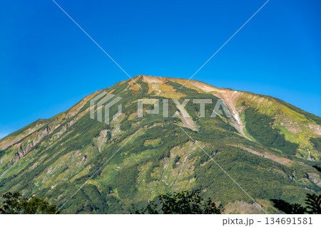 蓮華の森から見る雪倉岳（白馬大池への登山道）蓮華温泉～北アルプス白馬岳縦走登山 134691581