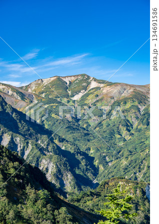 蓮華の森から見る鉢ヶ岳(白馬大池への登山道)蓮華温泉~北アルプス白馬岳縦走登山 蓮華の森から見る鉢ヶ岳(白馬大池への登山道)蓮華温泉~北アルプス白馬岳縦走登山 134691586