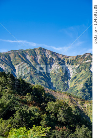 蓮華の森(白馬大池への登山道)から見る小蓮華山(別名:大日岳) 蓮華温泉~北アルプス白馬岳縦走登山 蓮華の森(白馬大池への登山道)から見る小蓮華山(別名:大日岳) 蓮華温泉~北アルプス白馬岳縦走登山 134691588
