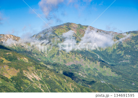 天狗ノ庭（白馬大池への登山道）から見る雪倉岳　蓮華温泉～北アルプス白馬岳縦走登山 134691595