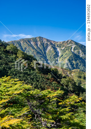 天狗ノ庭（白馬大池への登山道）から見る小蓮華山（別名：大日岳）　蓮華温泉～北アルプス白馬岳縦走登山 134691602