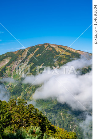 天狗ノ庭(白馬大池への登山道)から見る雪倉岳 蓮華温泉~北アルプス白馬岳縦走登山 天狗ノ庭(白馬大池への登山道)から見る雪倉岳 蓮華温泉~北アルプス白馬岳縦走登山 134691604
