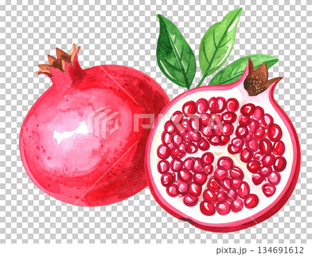 Pomegranate illustration material 134691612