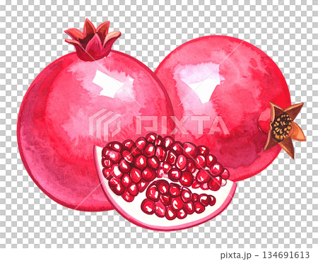 石榴插圖素材 134691613