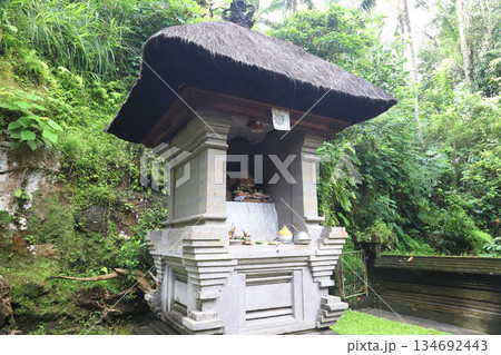 インドネシア　バリ島　ウブド　ゴアガジャ遺跡 134692443
