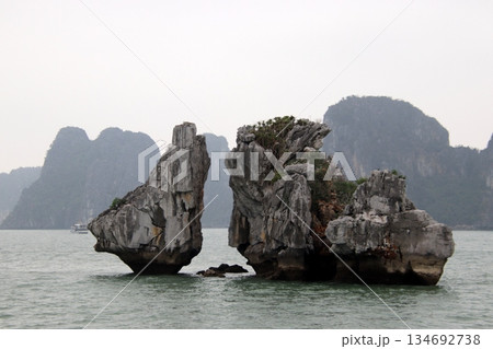 ベトナムの世界遺産ハロン湾風景 ベトナムの世界遺産ハロン湾風景 134692738