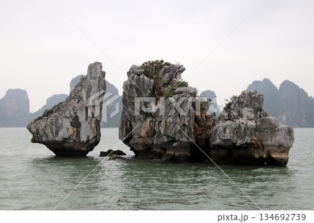 ベトナムの世界遺産ハロン湾風景 ベトナムの世界遺産ハロン湾風景 134692739