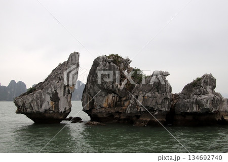 ベトナムの世界遺産ハロン湾風景 ベトナムの世界遺産ハロン湾風景 134692740