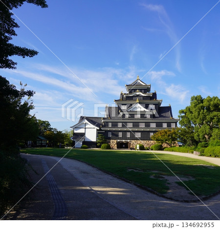 「午後の岡山城」 「午後の岡山城」 134692955