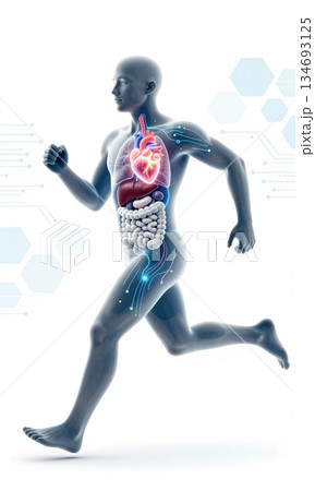 Futuristic 3D Illustration of Running Human Body with Glowing Organs and Digital Interface. 134693125