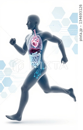 Futuristic 3D Illustration of Running Human Body with Glowing Organs and Digital Interface. 134693126