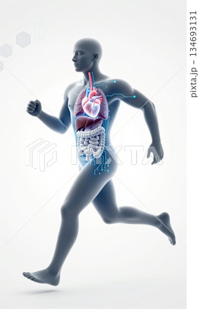 Futuristic 3D Illustration of Running Human Body with Glowing Organs and Digital Interface. Futuristic 3D Illustration of Running Human Body with Glowing Organs and Digital Interface. 134693131