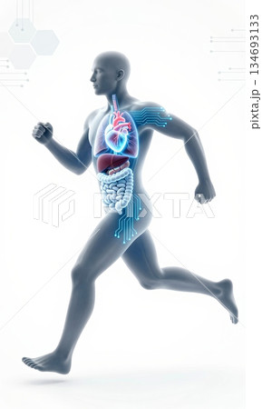 Futuristic 3D Illustration of Running Human Body with Glowing Organs and Digital Interface. 134693133