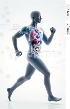 Futuristic 3D Illustration of Running Human Body with Glowing Organs and Digital Interface. 134693136
