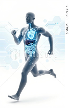 Futuristic 3D Illustration of Running Human Body with Glowing Organs and Digital Interface. 134693140